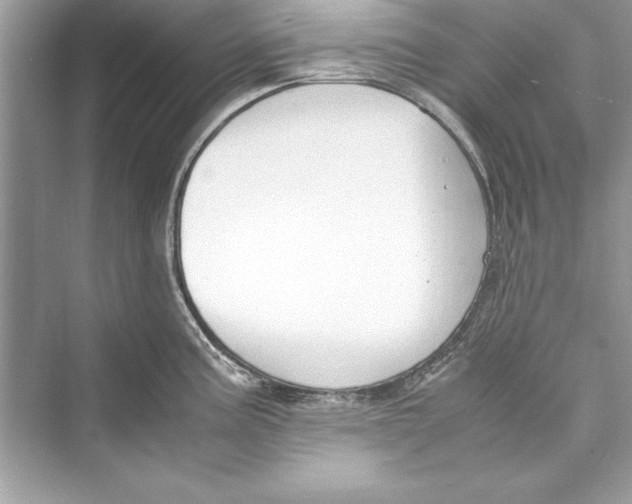 X0000072551195200608111831