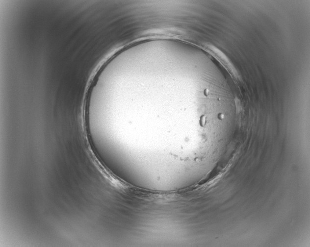 X0000072551196200608111831