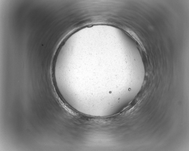 X0000072551197200608111831