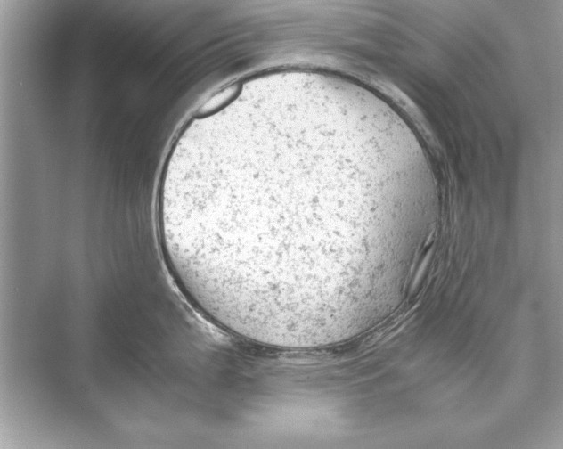 X0000072551199200608111831