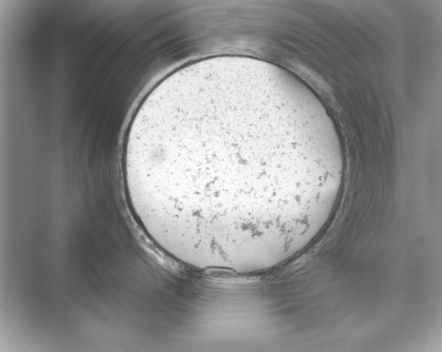 X0000072551200200608111831