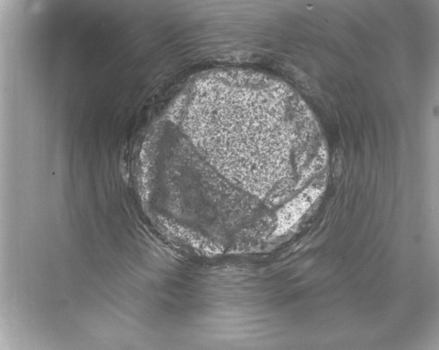 X0000072551202200608111830