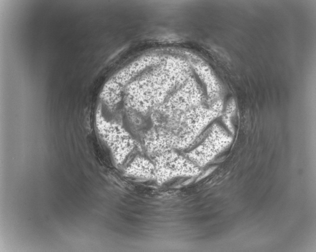 X0000072551205200608111830