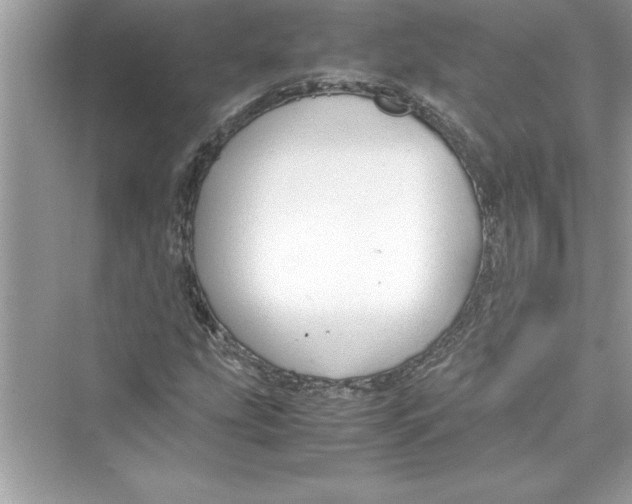 X0000072551207200608111830