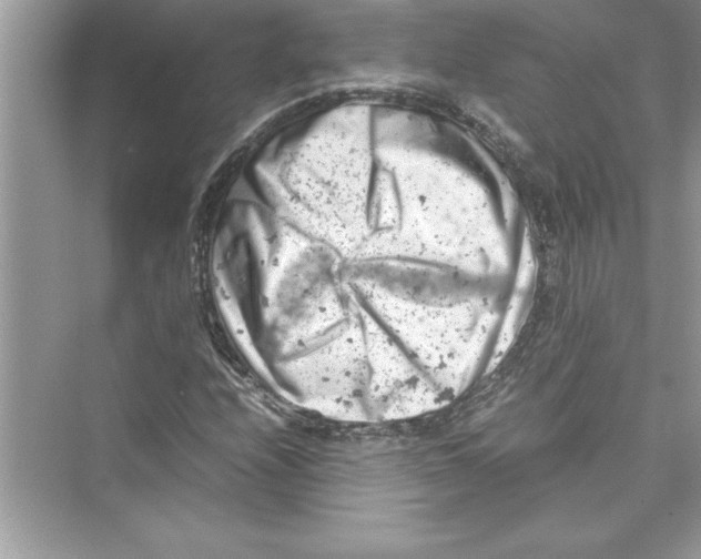 X0000072551208200608111830