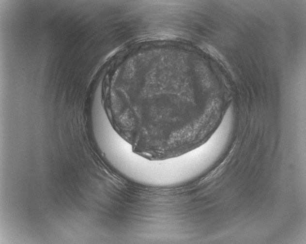 X0000072551210200608111830