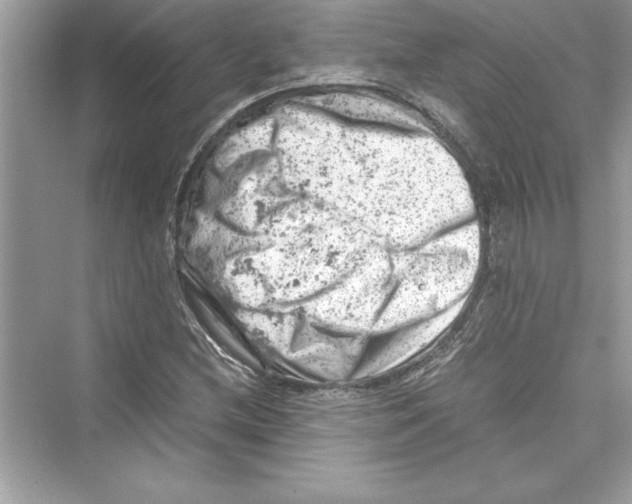 X0000072551212200608111830