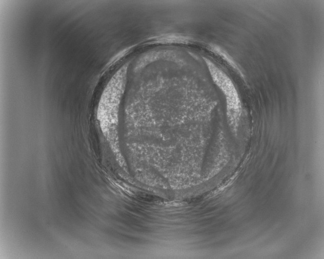 X0000072551213200608111830