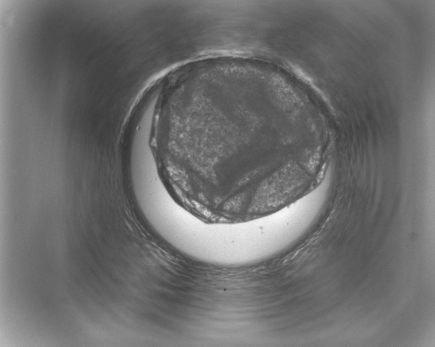 X0000072551214200608111830