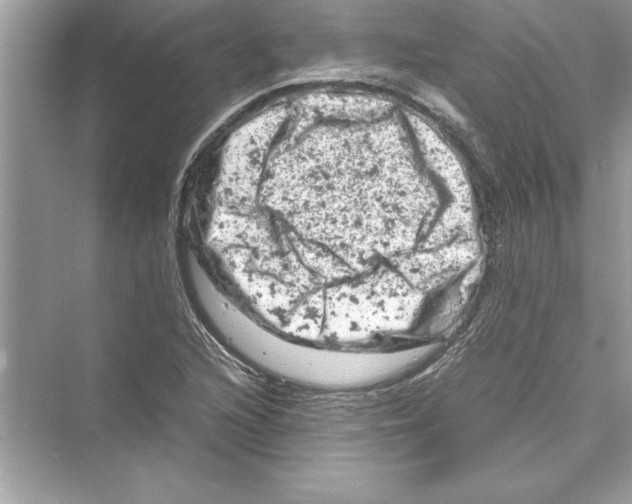 X0000072551216200608111830