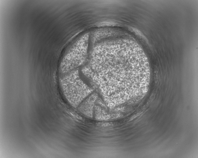 X0000072551217200608111830