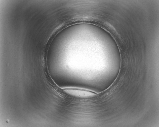 X0000072551218200608111830