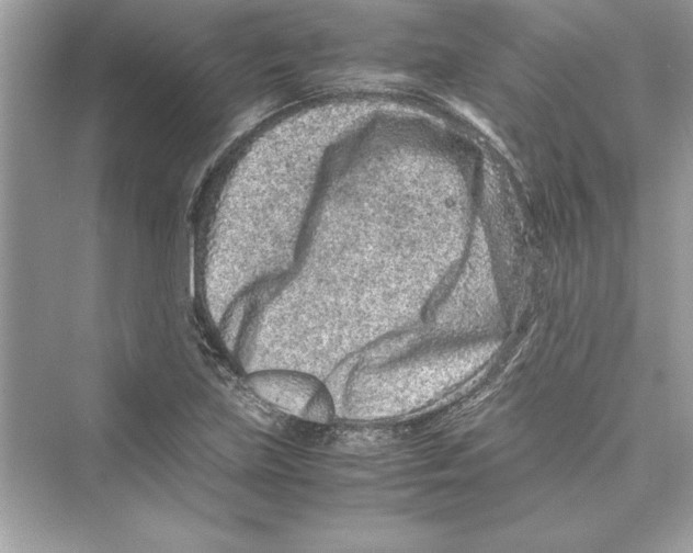 X0000072551219200608111830