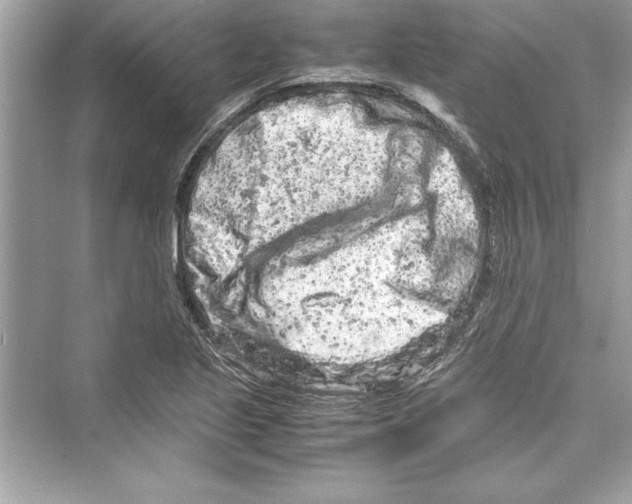 X0000072551221200608111830