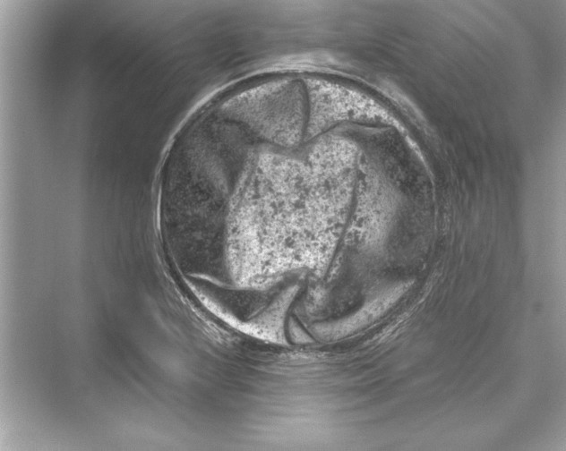 X0000072551224200608111830