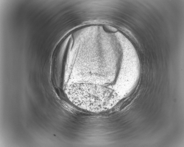 X0000072551228200608111830