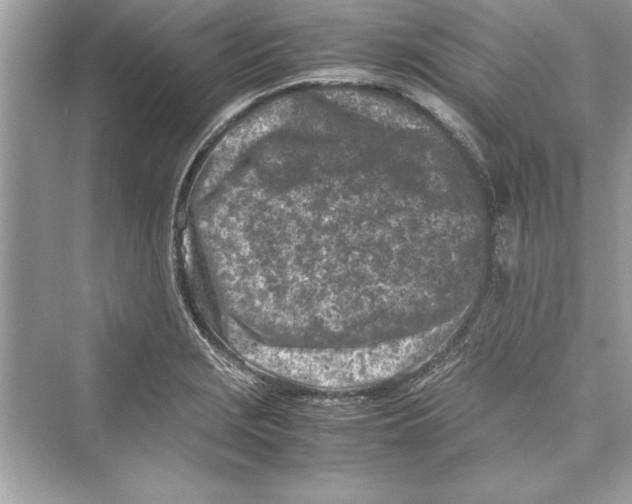 X0000072551229200608111830