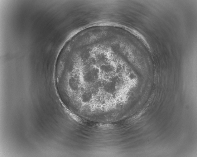 X0000072551231200608111830