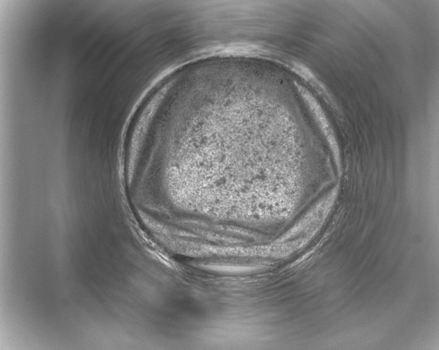 X0000072551232200608111830