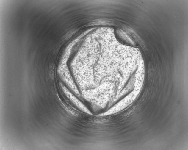 X0000072551233200608111830