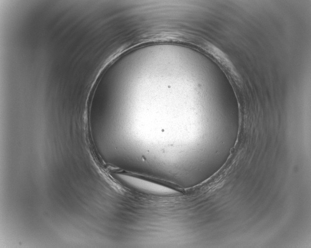 X0000072551234200608111830