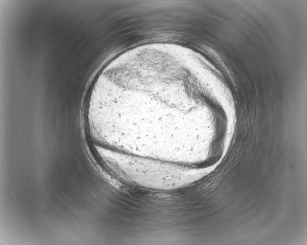 X0000072551235200608111830