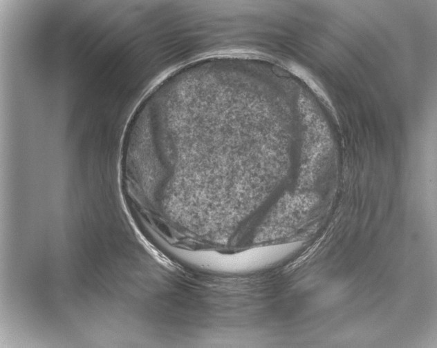 X0000072551237200608111830