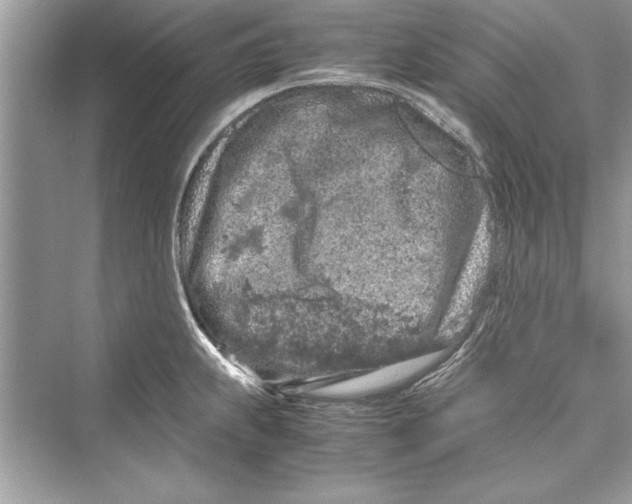 X0000072551239200608111830