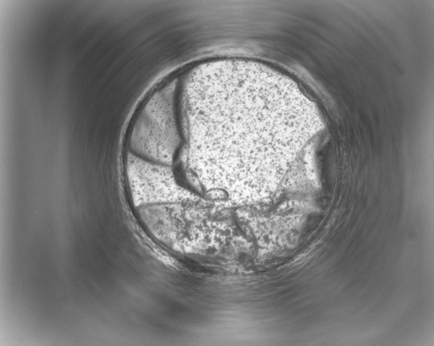 X0000072551240200608111830