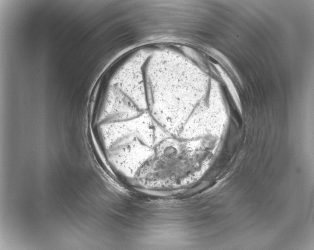 X0000072551244200608111830