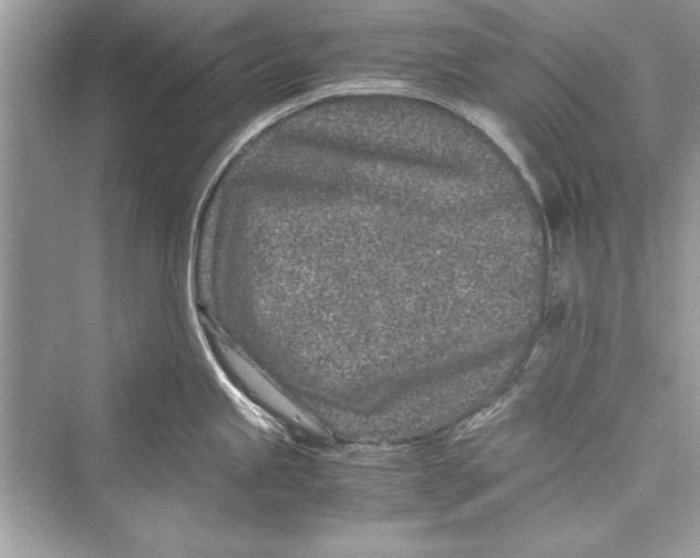 X0000072551245200608111830