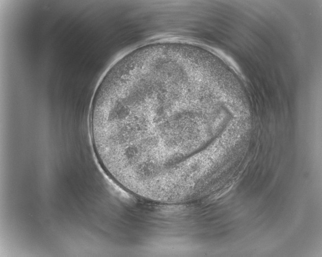 X0000072551247200608111830