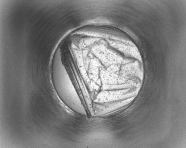 X0000072551248200608111831