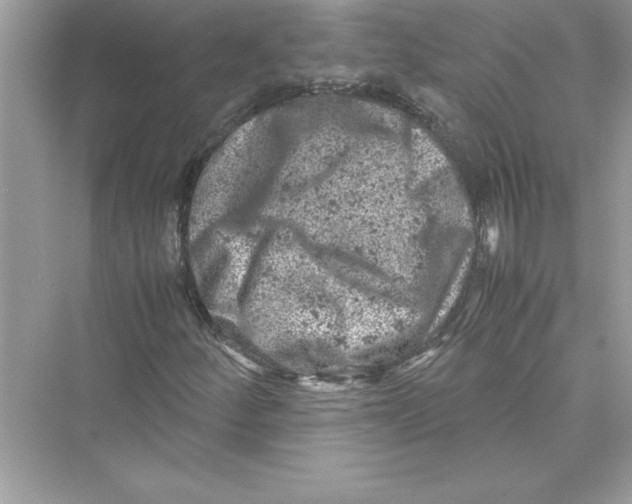 X0000072551252200608111830