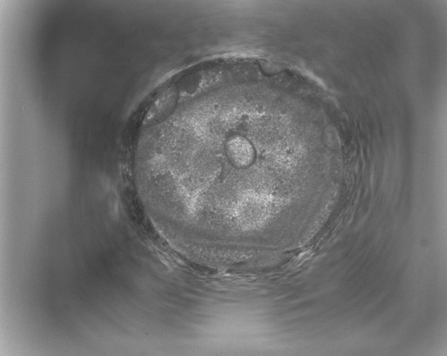 X0000072551255200608111830