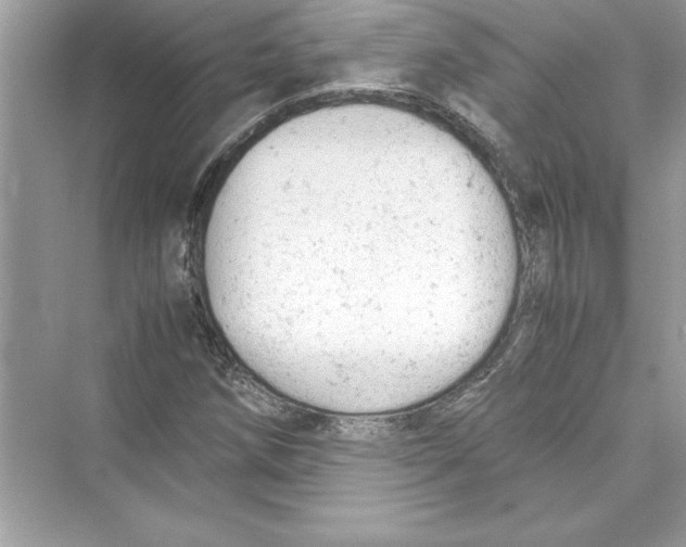 X0000072551258200608111830