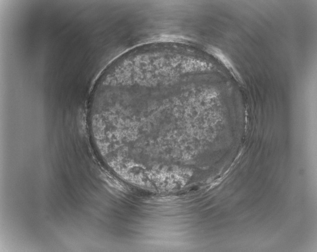 X0000072551260200608111830