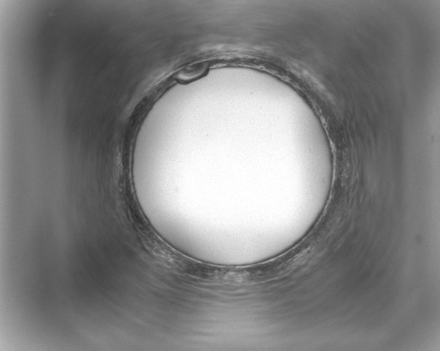 X0000072551261200608111830