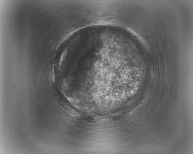 X0000072551262200608111829