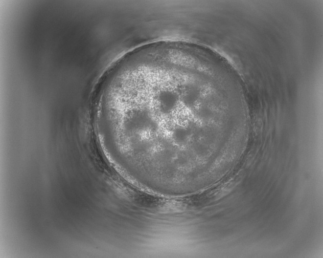 X0000072551263200608111829