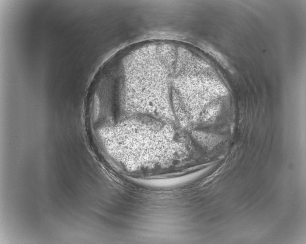 X0000072551264200608111829