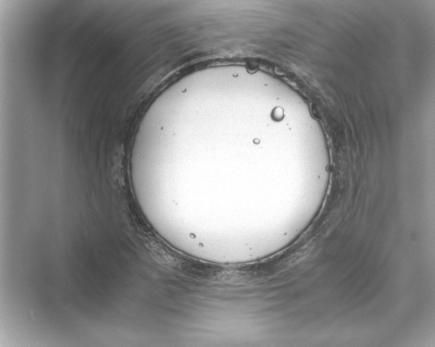 X0000072551265200608111829