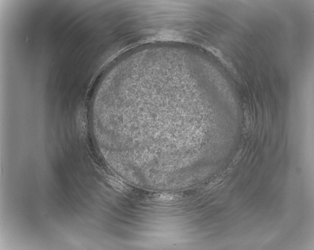 X0000072551266200608111829