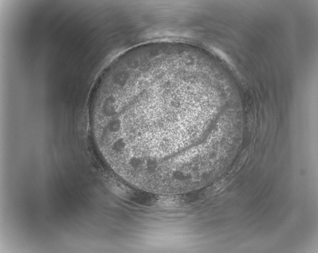 X0000072551267200608111829