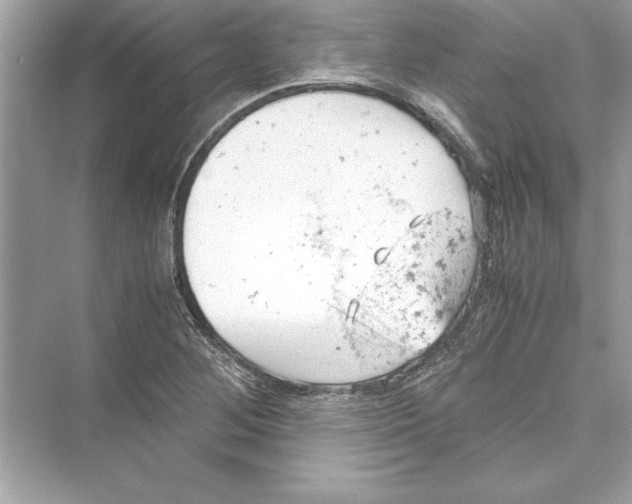 X0000072551268200608111829