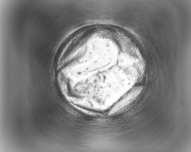 X0000072551271200608111829