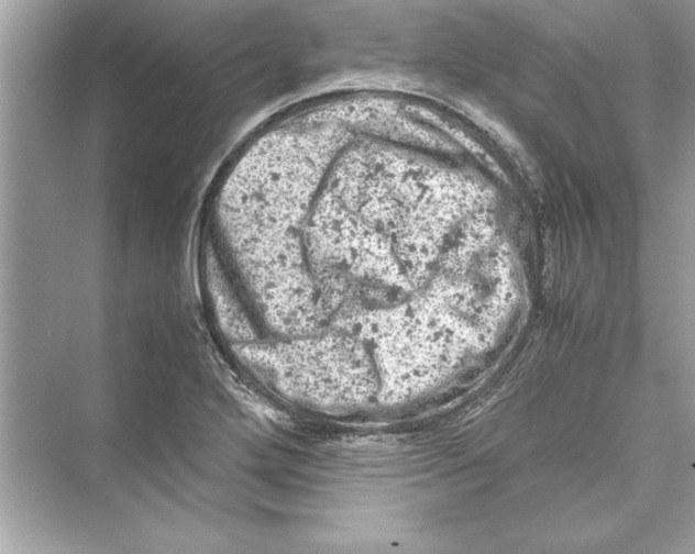 X0000072551272200608111829