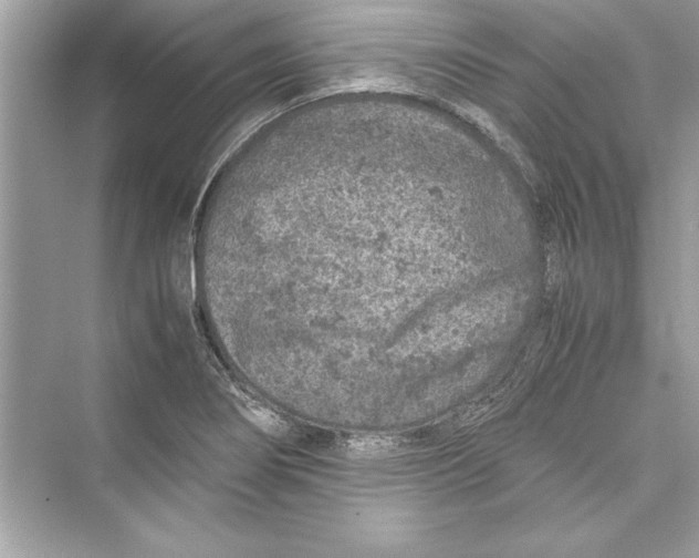 X0000072551274200608111829