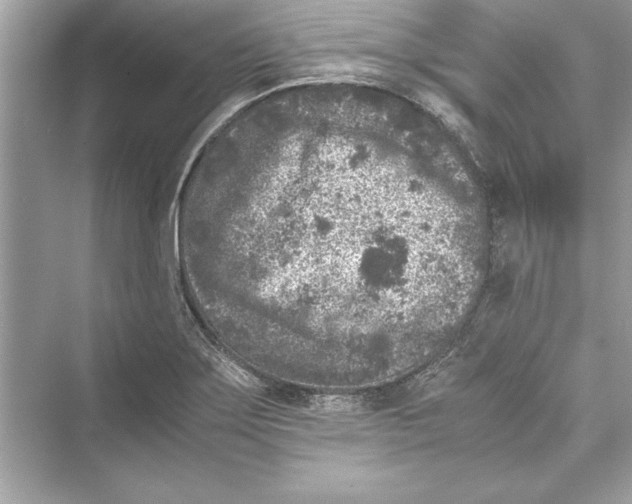 X0000072551275200608111829