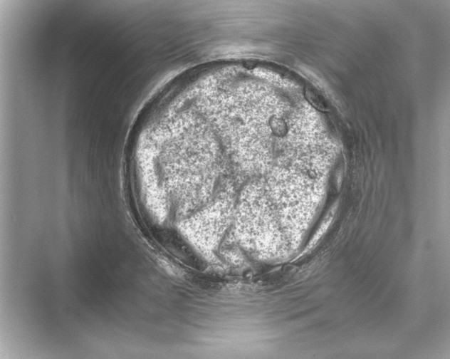 X0000072551277200608111829